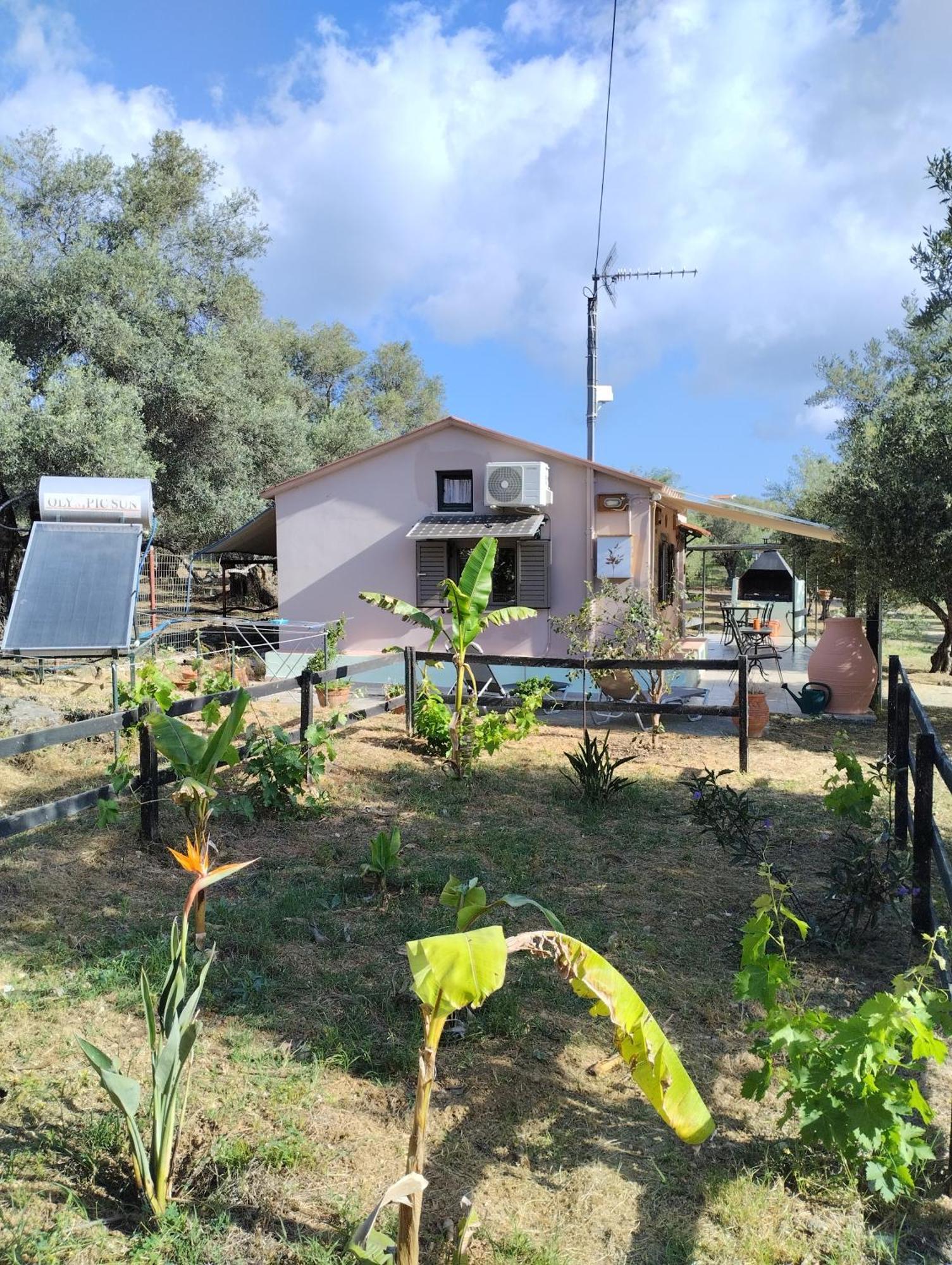 Olea Cottage Galatás 外观 照片
