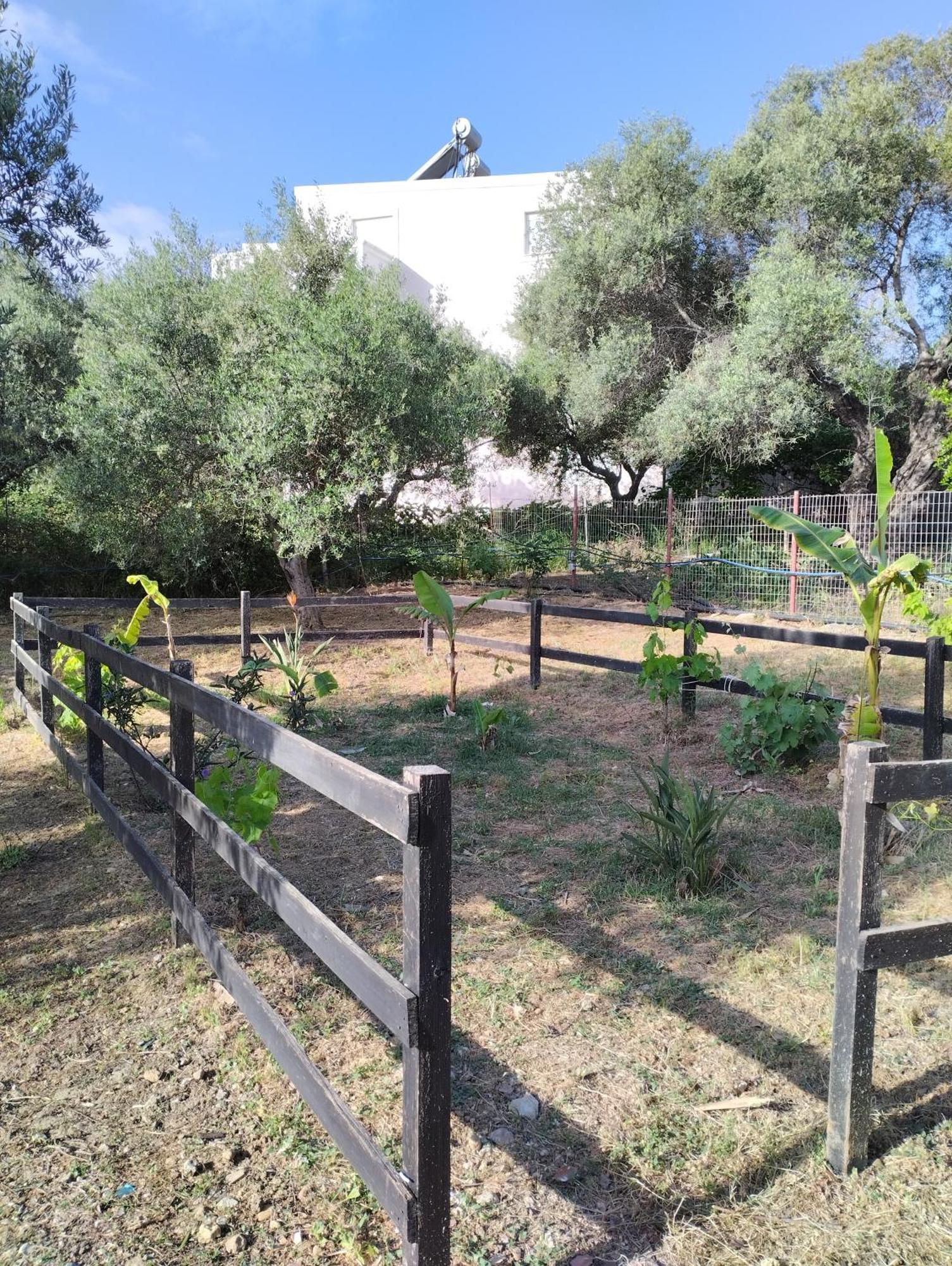 Olea Cottage Galatás 外观 照片